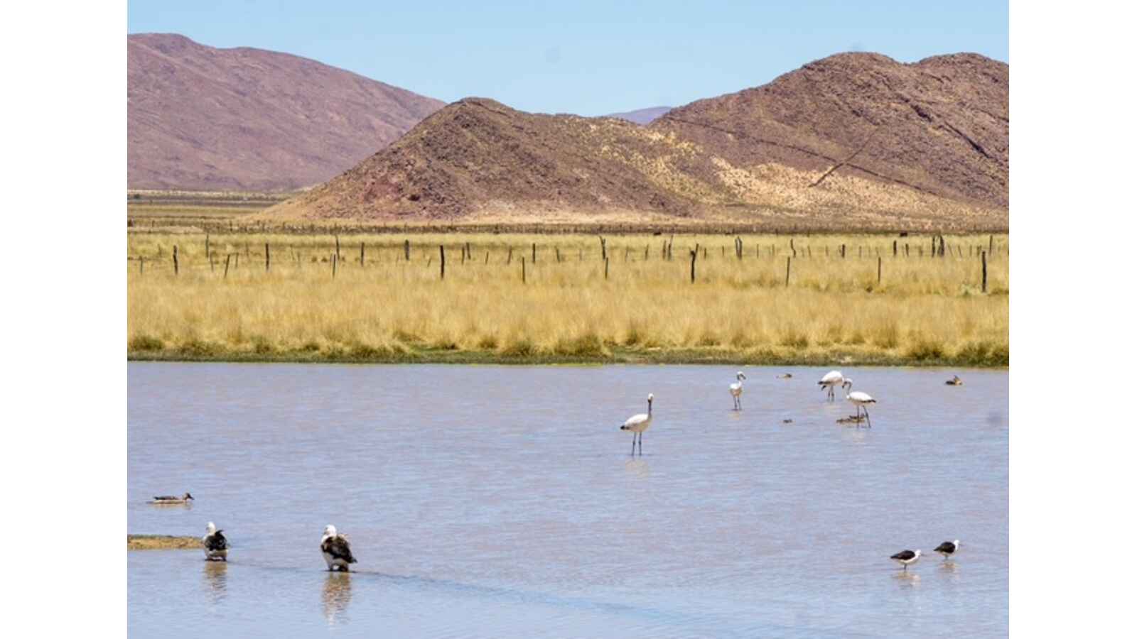NW Argentina