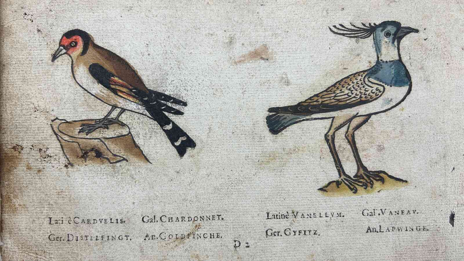 Image from Chrzanowski 1586l, William Andrews Clark Memorial Library, UCLA