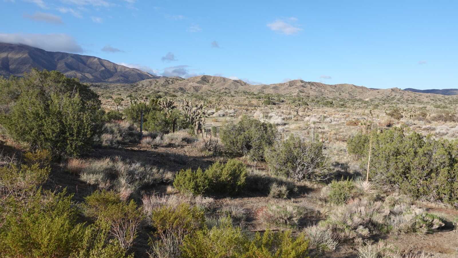 Field Trip: Valyermo