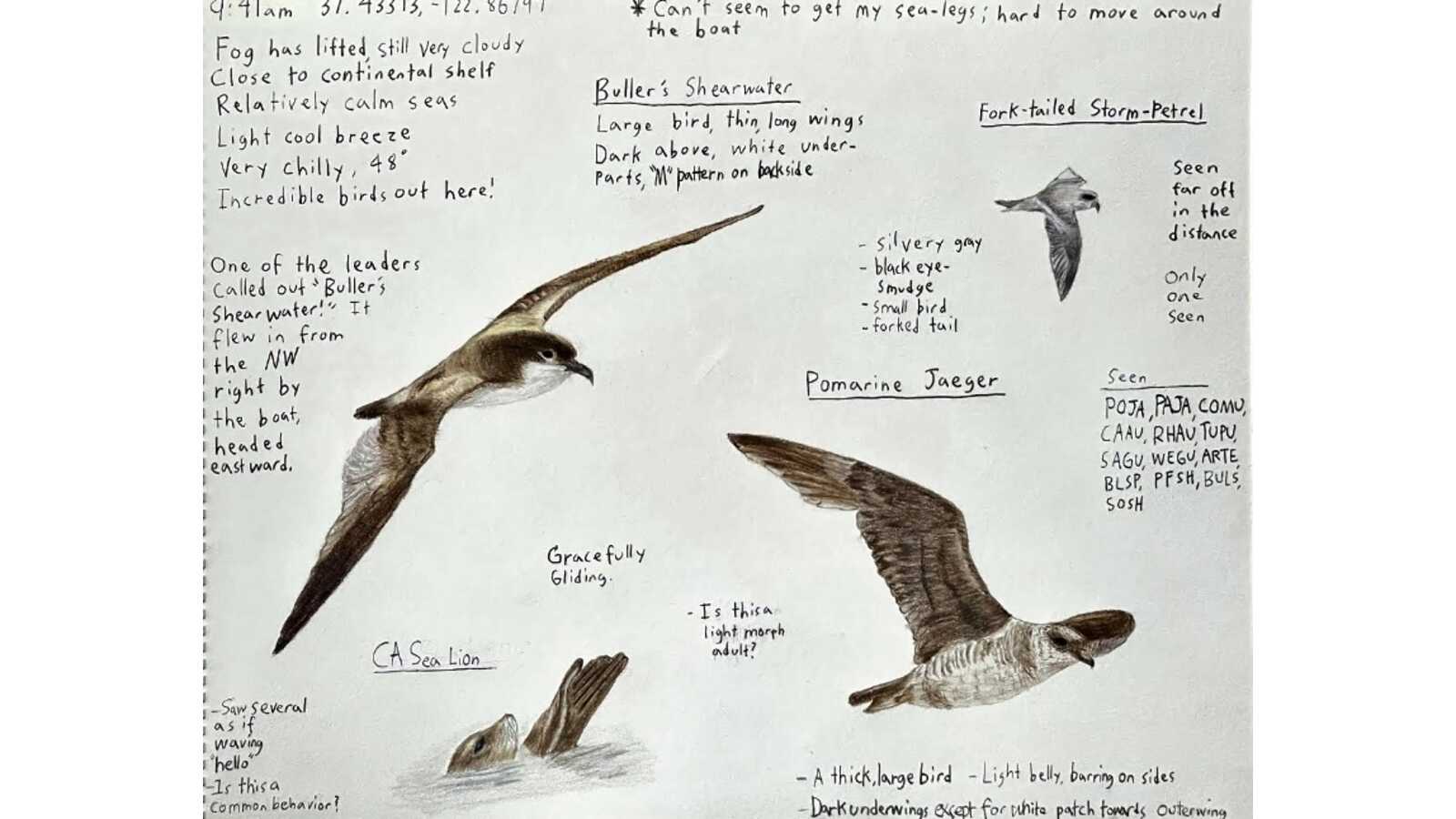 One page of Alex's field journal