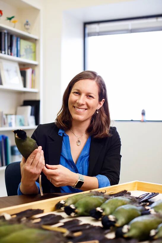 Photo of Allison Shultz