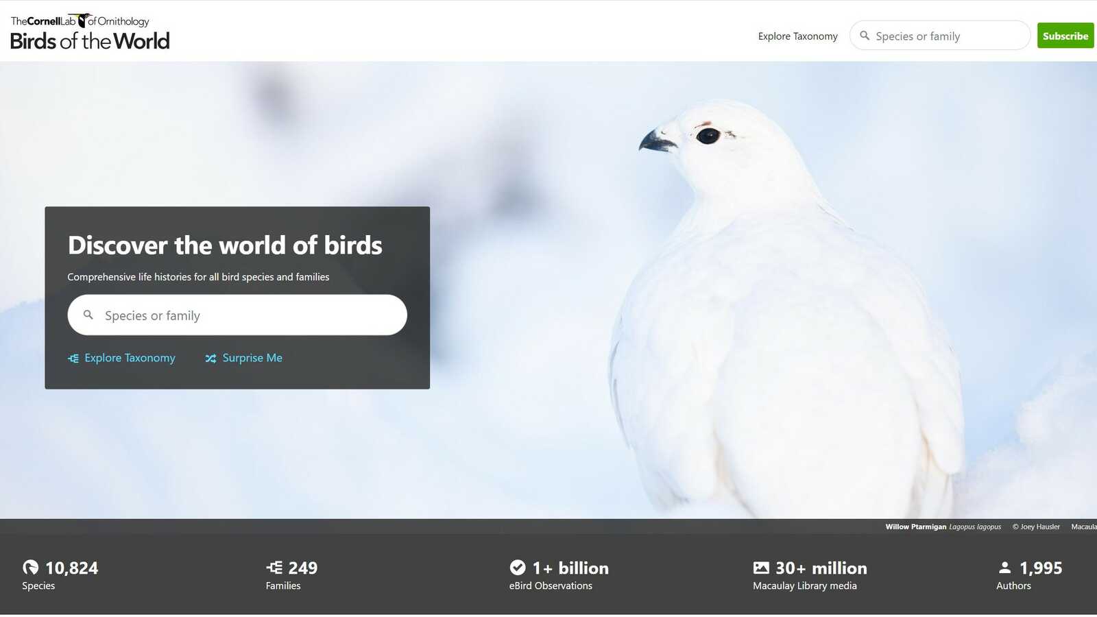 Splash page for the Birds of the World website
