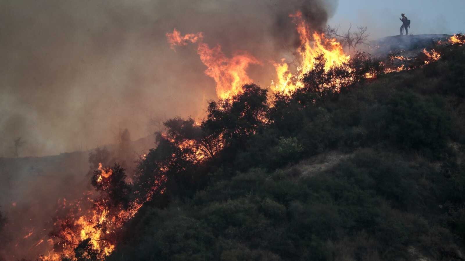 Bobcat Fire, LA Times photo, 2020