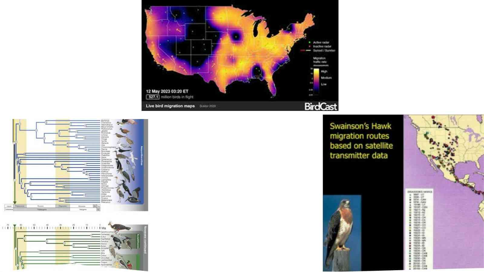Graphic of several science projects