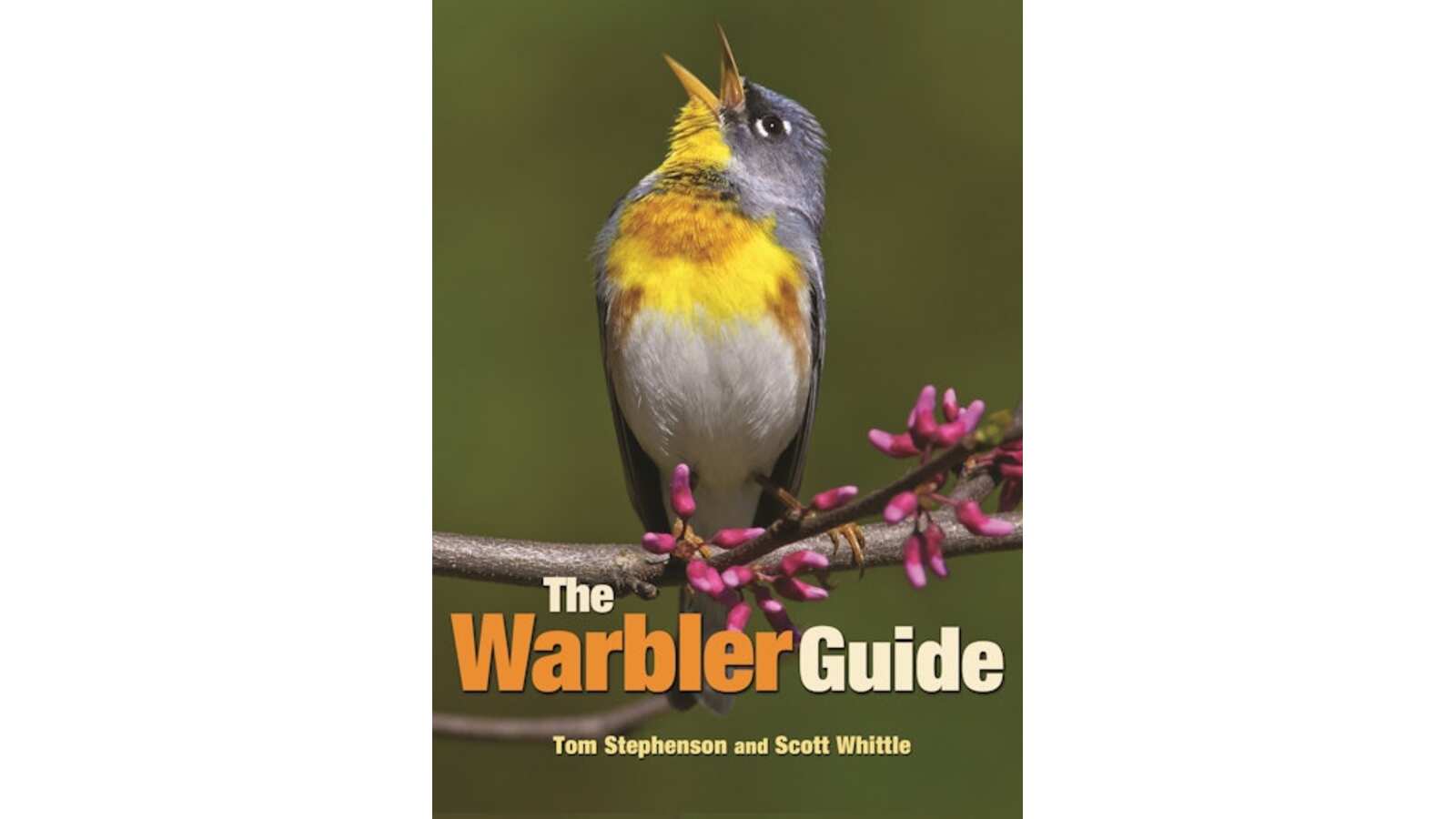 Rethinking Field Guides