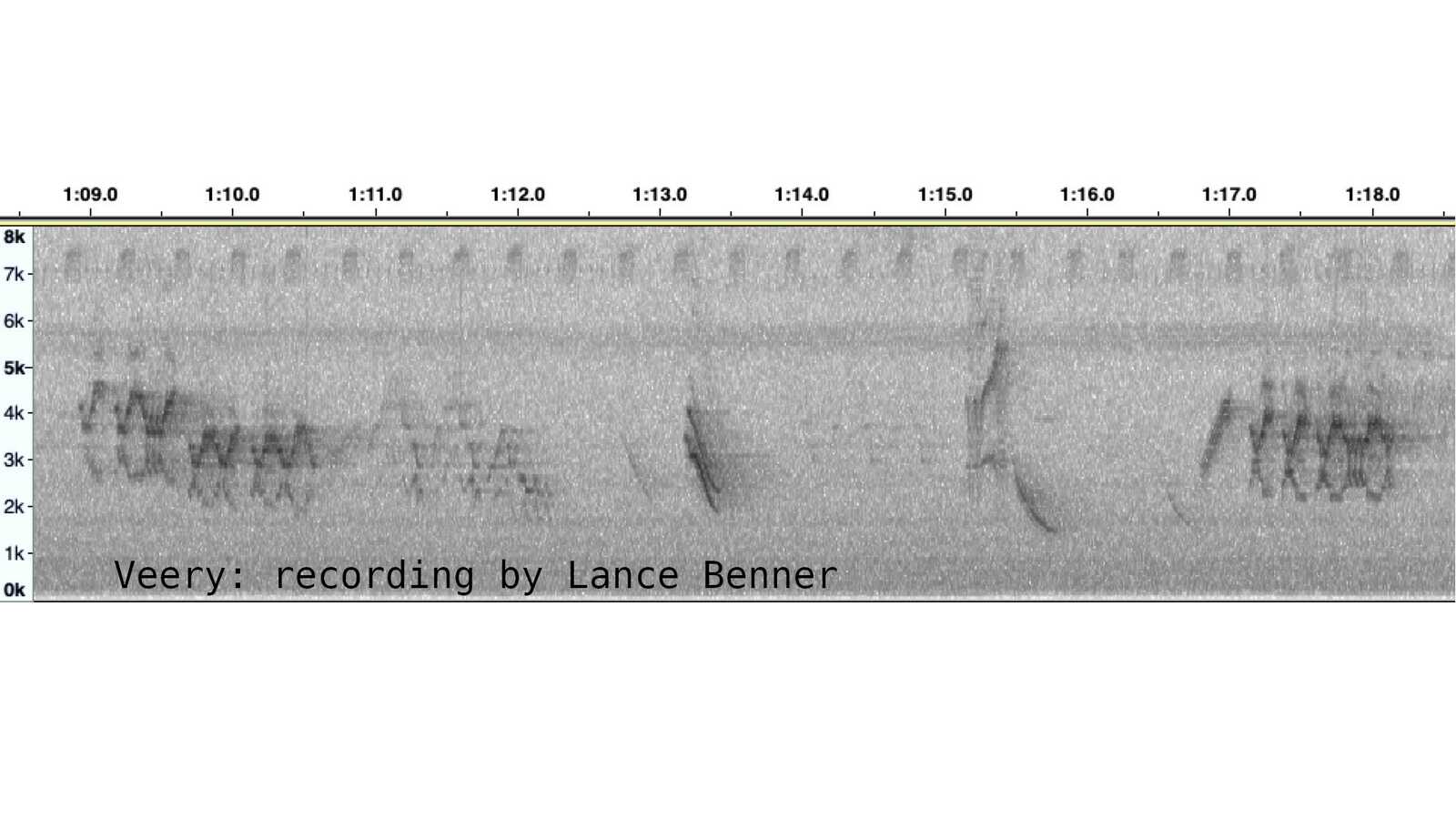 Sonogram of Veery sounds from 2007